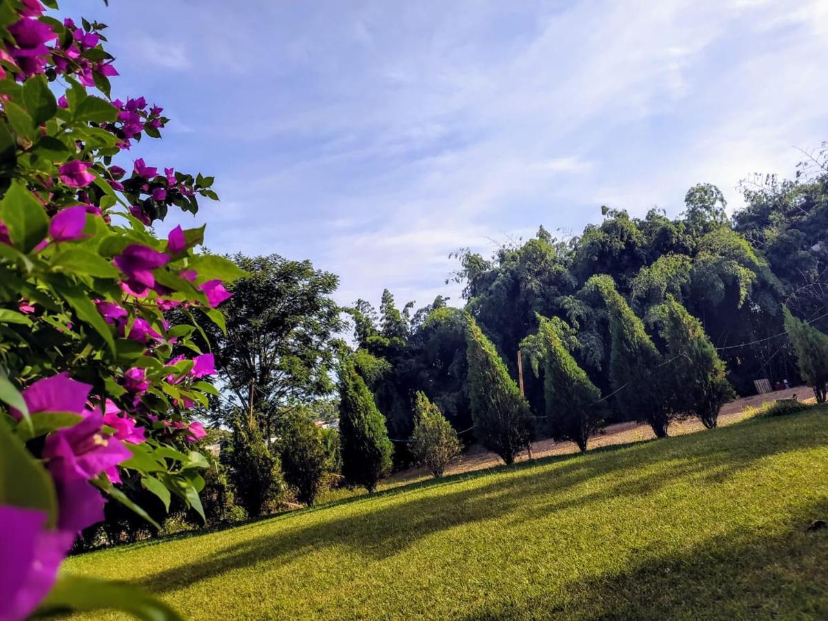 Velinn Hotel Natureza Foz Фос-ду-Іґуасу Екстер'єр фото
