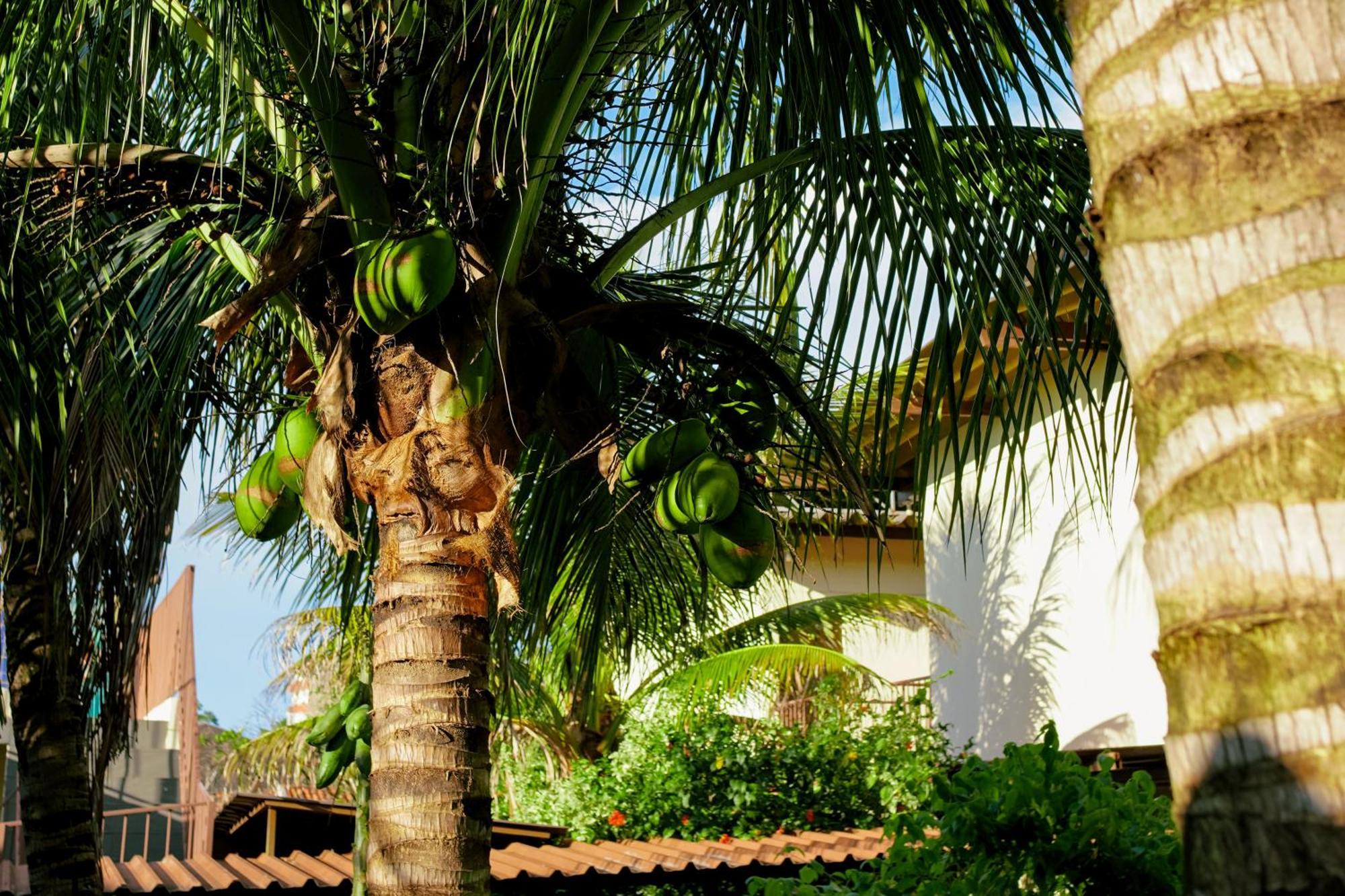 Velinn Hotel Natureza Foz Фос-ду-Іґуасу Екстер'єр фото