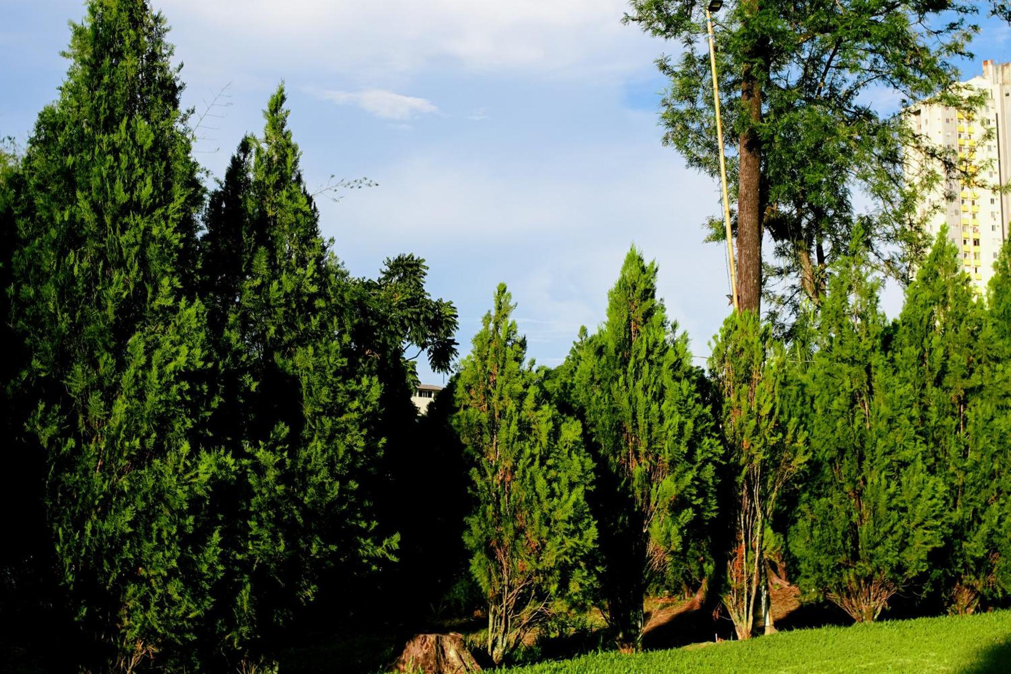 Velinn Hotel Natureza Foz Фос-ду-Іґуасу Екстер'єр фото